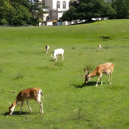 In - Insel Ruegen 3043 Tatil Evi *